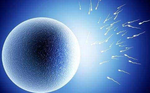 陈主任